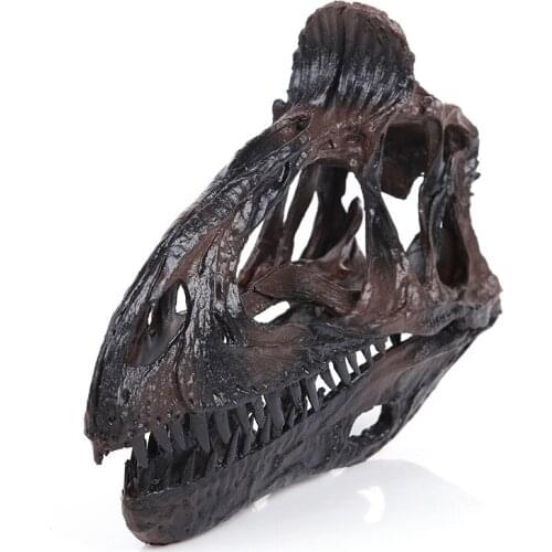 Resin Crafts Cryolophosaurus Dinosaur Skull Model Kids Study Dinosaur Toy Action Figures Children Halloween Festival Gifts