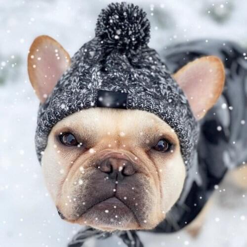 Winter Warm Knitted Pet Dogs Hats Dog Beanie Knit Cap Christmas Clothes Accessories Cat Dog French Bulldog Windproof Dog Hats