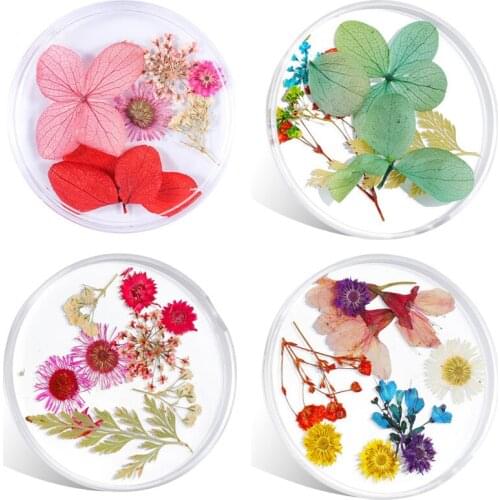 5 Pcs UV Resin Natural Flower Sticker Nail Art Decoration Flowers Decals DIY Epoxy Resin Filled Jewelry Decorative Decals