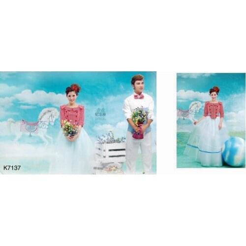 3m*6m Hand painted Muslin wedding Backdrop K7137,toile de fond studio photo ,photo studio props baby,photography studio backdrop