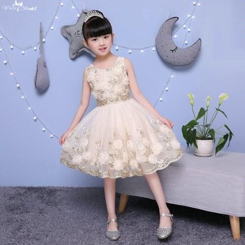 TF011 Champagne 3d Lace Flowers Applique With Sequin Shining Flower Girl Dresses