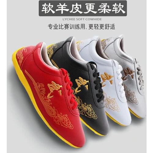Ccwushu Men's Classic Shoes
