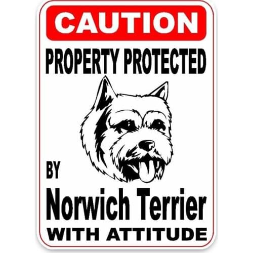 New Personality Car Stickers Property Protected By Norwich Terrier Dog Motorcycle Decals Scratches PVC 14cm *10cm