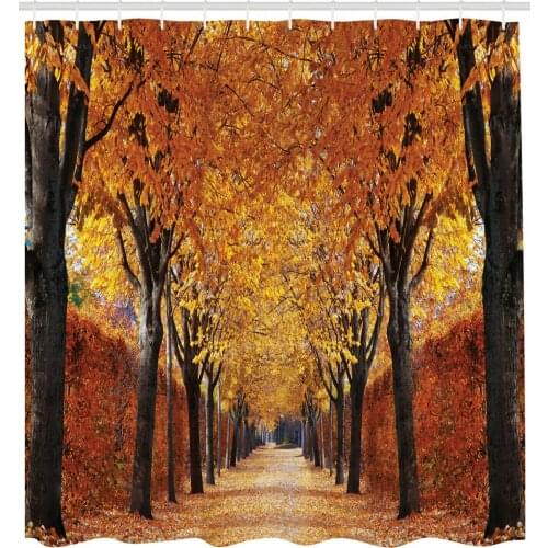 Autumn Shower Curtain Pathway in the Woods Print for Bathroom
