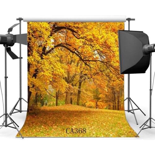 Photography Backdrop Rural Forest Autumn Fall Leaves Natural Scene Seamless Background Studio Prop CA368