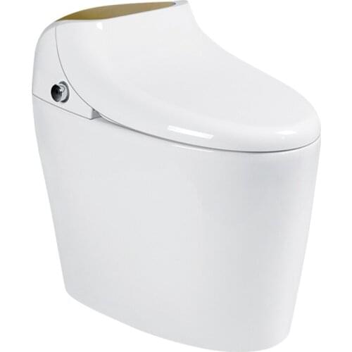 KASG KA913DS(A/B) SMRAT TOILET