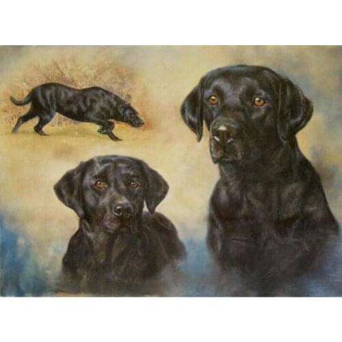 Needlework Labrador Dog Pet DIY Diamond Painting Full Square/Round Drill Handmade Diamond Embroidery Living Diamond Puzzle Kits