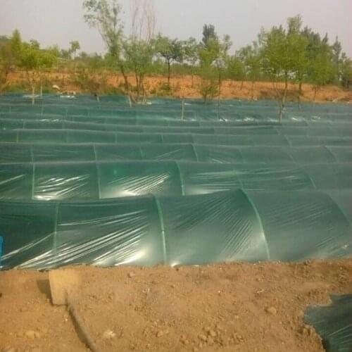 10m Green Mulch Film PE Plastic Mulch 0.02mm Agricultural Film Vegetable Frost Protection Keep Warm Weed Control