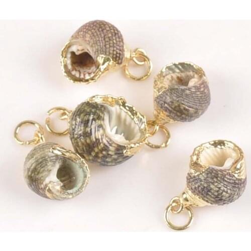 5pcs 18-19mm Natural Spiral Sea Shells Gold Plated For Handmade DIY Pendant Nautical Shell Craft Home Accessories tr0155x