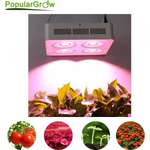 Populargrow Newest designed led grow light 800W with COB Reflector Cup for grow tent/indoor greenhouse/Commercial hydro plants