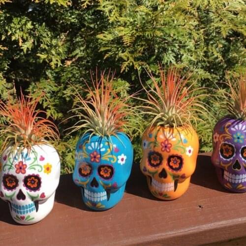 Halloween Statue Sculpture Funny Skull Planter Suger Holder Resin Candy Bowl Skeleton Indoor Outdoor Decor
