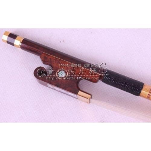 Violin bow advanced snake snail
