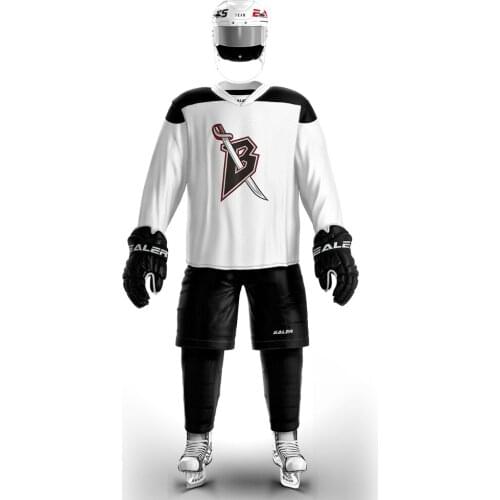 Cool hockey ice hockey jerseys with team logo accept custom name and number H6100