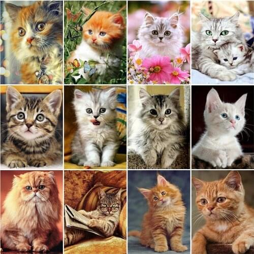 HUACAN Diamond Painting Cat Full Square Drill Rhinestone Kit Diamond Embroidery Animal Mosaic Cross Stitch Handmade Gift