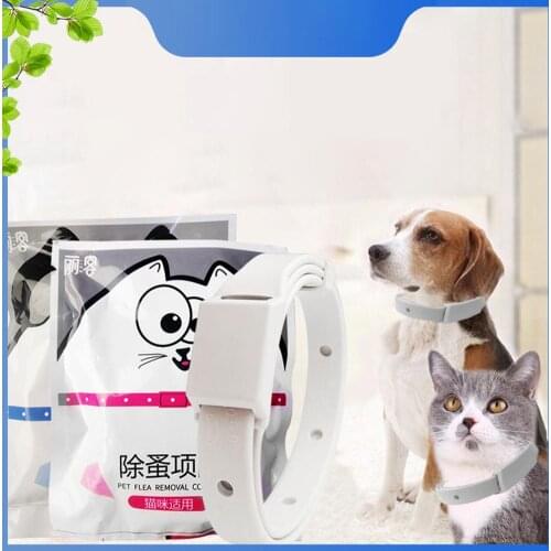 TWISTER.CK Collars For Cats