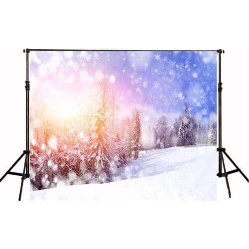 VinylBDS Winter Frozen 10ft Background Photography Backdrops Trees With Sunlight background photography kids snowflake backdrop