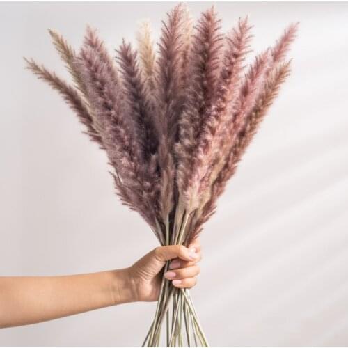 15Pcs Dried Reed Flower Arrangement Natural Pampas Grass Phragmites Communis Plants Bouquet For Modern Home Decoration Ceremon
