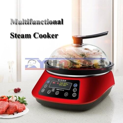 Household Electric Steam Cooker Multifunctional Electric Steamer 2200W Large Power Electric Steam Hot Pot ZDH-ZL-22