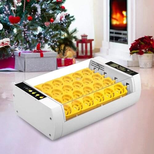 AOTUO Animal Care Items