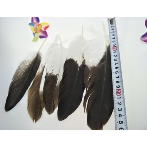 New wholesale 20pcs scarce natural golden eagle feathers 2-11inch /5-27cm Jewelry accessories stage performance decoration diy
