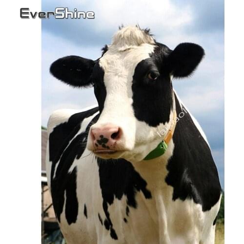 Evershine Diamond Embroidery Cattle Diamond Painting Animals Full Square Cross Stitch Diamond Mosaic Embroidery Beaded Painting