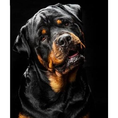 Diamond Painting Rottweiler Dog Full Square Diamond Embroidery Pet Cross Stitch Needlework Diamond Mosaic Rhinestones Home Decor