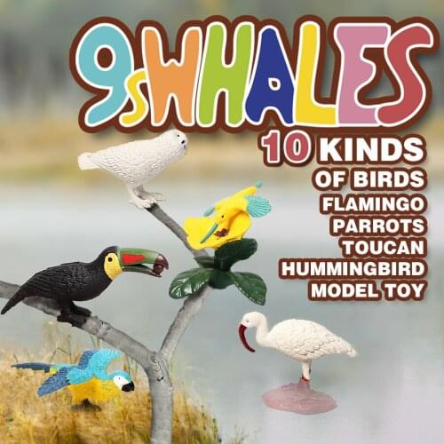 Realistic Bird Animals Parrot Flamingo Toucan Hummingbird Educational Fidget Toy Model Scene Design Simulation Decoration Gift