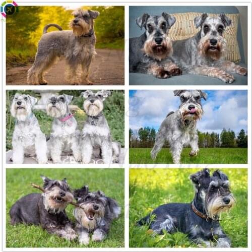 Diamond Painting 5D Schnauzer Dog Diamond Embroidery Cross Stitch Kit Animal Square Round Diamond Mosaic Picture Home Decoration