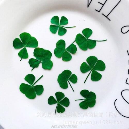 10Pcs Dried Leaf Clover UV Resin Decor Nail Art Epoxy Mold DIY Filling Jewelry N16 20 Dropshipping