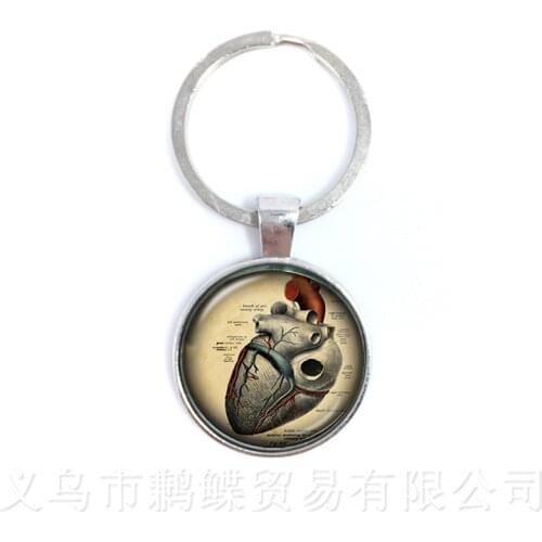 Human Anatomy Brain Keychains Glass Cabochon Weird Cool Science Personalized Doctor Pendant Creative Gift Keyring