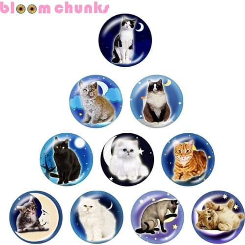 Cat moon 12mm/18mm/20mm/25mm Round glass cabochon flat back Making snap button jewelry S3549