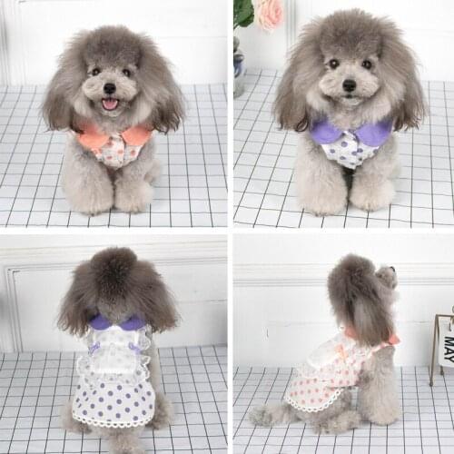 Cute Dots Dog Dress Lace Skirt Summer Pet Clothing Chihuahua Pomeranian Shih Tzu maltese Poodle Bichon Puppy Small Dog Clothes