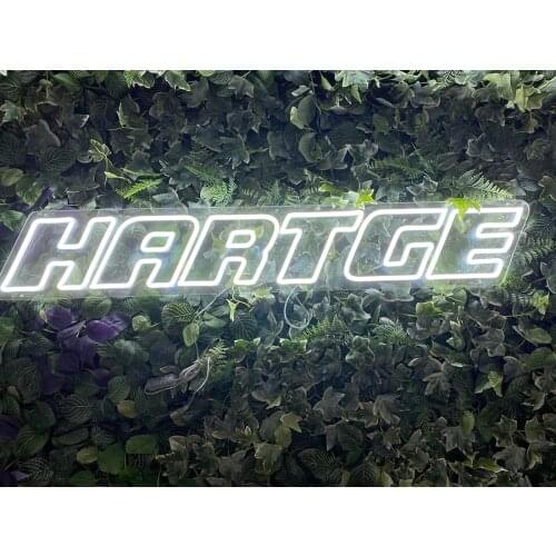Neon Custom Sign LED Light Shop Logo Store Club Game Room Wall Home Festivals Party Restaurant Faceplate Double Lines Cold Whit