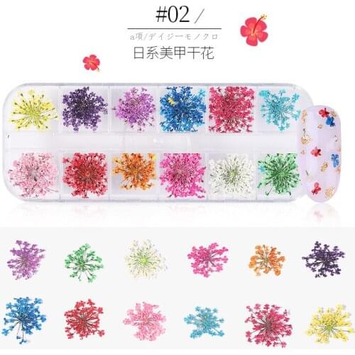3D Dried Flower Nail Decoration Natural Floral Sticker Mixed Dry Flower DIY Nail Art Decals Jewelry UV Gel Polish Manicure