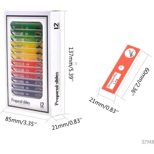 12Pcs Prepared Microscope Slides Set Specimen For Student Basic Biology Education