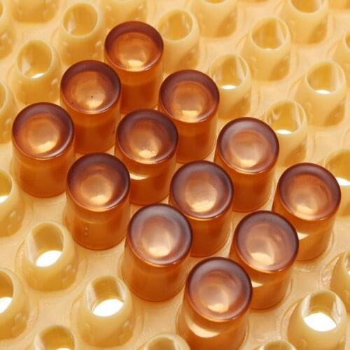 Queen Rearing Cup Box Kit Complete Beekeeping Cage Bee Keeper Tool Sets