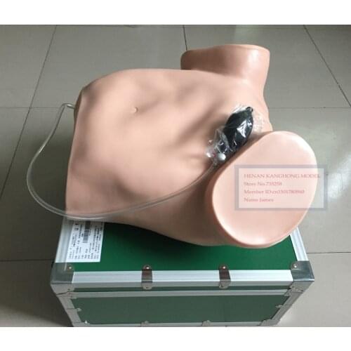 Senior Four, Vaginal Examination, Palpation Anus Check Training Model,Four Palpation Training Model,Vaginal Examination Model