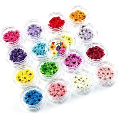 10/20pcs/jar dried flowers nail art Decorations Colorful Natural Dry Flower 3d Beauty Floral Stickers UV Gel Manicure Decals