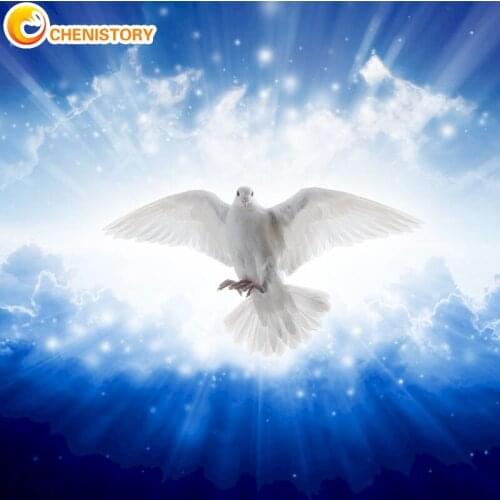 CHENISTORY White Dove 5D Diamond Art Painting Full Square Rhinestones Diamond Embroidery Cartoon Diy Diamond Mosaic Sale Gift