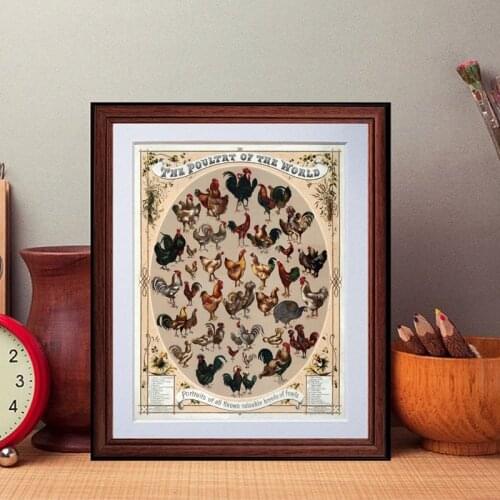 Vintage Poultry of the World Print Poster Rooster Chicken Hen Breeds Antique Farm House Wall Art Retro poster kraft paper