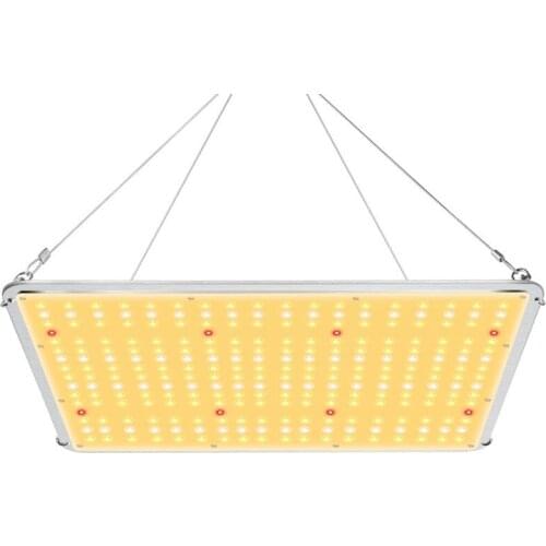 2020 new Led plant growth light Phlizon 100W indoor plant growth board