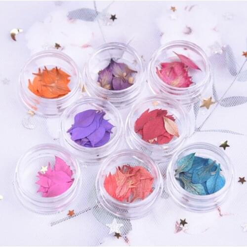 20pcs/box box Nail Art Dried Flower Petals Diy Epoxy Phone Case Flower Material Epoxy Jewelry Flower Material