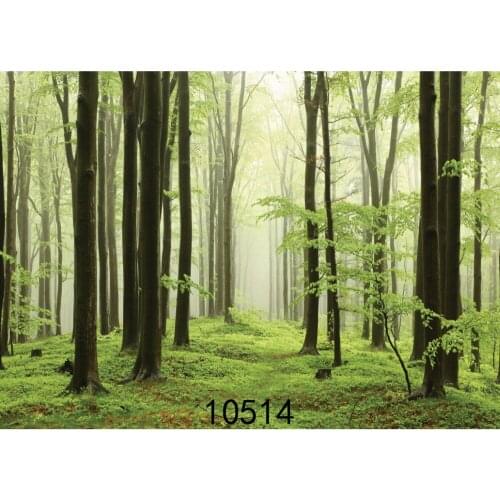 Vinyl Photography Background for Photo Shoots Forest Green Screen Children Wedding Photographic Backdrop for Photo Studio