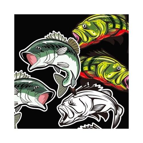 Outdoor Sports Go Fishing Carp Perch Vinyl Graphics Sticker Car Vehicle Truck Fish Box Bumper Decal