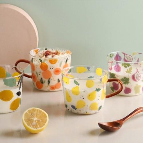 500mlHeat Resistant Glass Cups With Handle High Boron Silicon Domestic Fruit Print Mugs Pattern Mug Yogurt Oatmeal Breakfast Cup