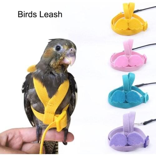 Parrot Harness and Leash Set Adjustable Outdoor Flying Training Rope With Wing for Small Medium Birds Cockatiel Macaw Budgie