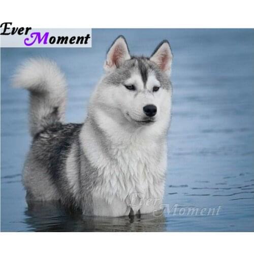 Ever Moment Diamond Painting Animal 5D DIY Handmade Home Decorations Gift Diamond Embroidery Mosaic Cross Stitch ASF1270