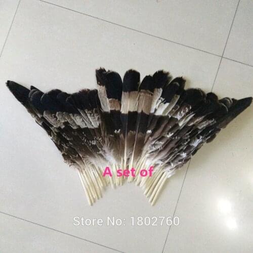 Perfect a sets = 50 pcs scarce natural eagle feathers Feathers long 25-40 cm / 10-16 inches
