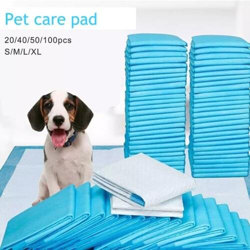 Miosi Diapers And Pampers For Animals