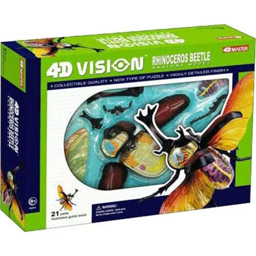 Animal biological beetle organs anatomy 4D master puzzle assembly toys Medical models